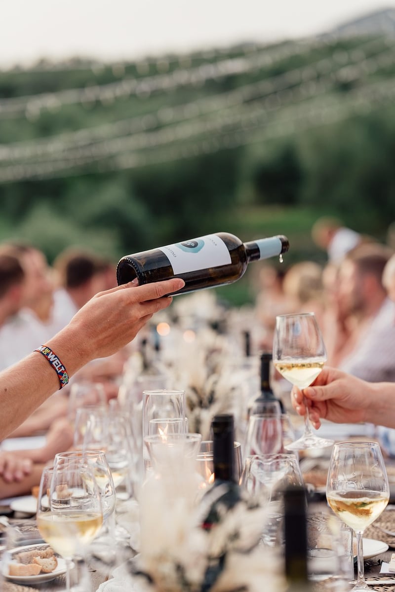 Starlit Vineyard